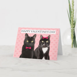 God Alla hjärtans dag för två katter Humor Helgkort