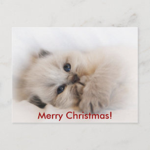 God dag, God jul! Helg Vykort