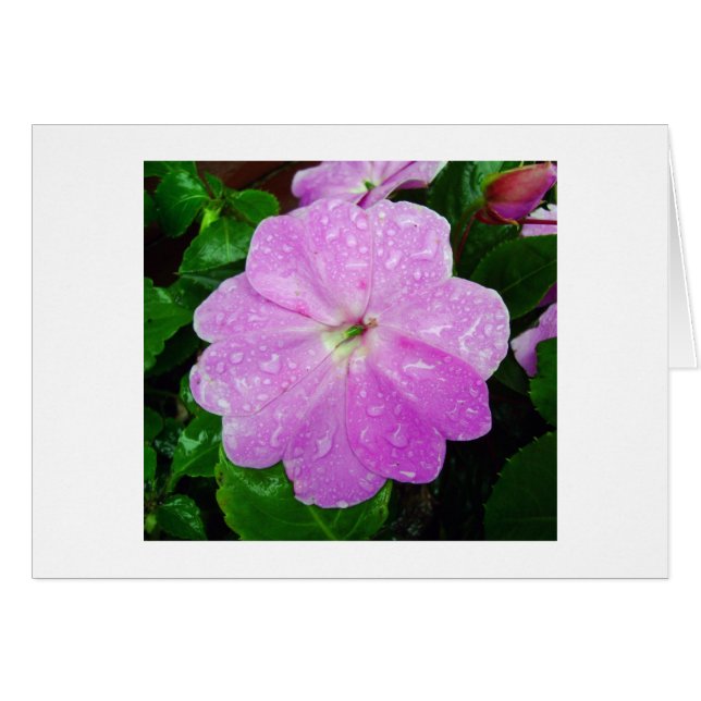 God Dew OBS Kort (Framsidan Horizontal)