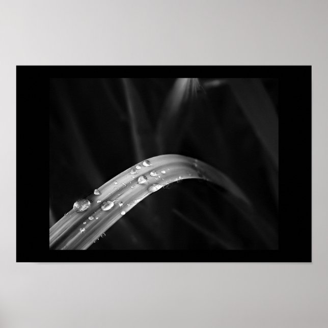 God Dew Poster (Framsidan)