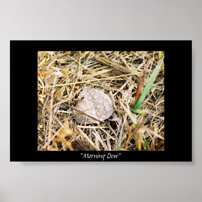 God Dew Poster (Framsidan)