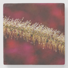 God Dew Stenunderlägg