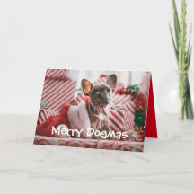 God Dogmas-julkort från Hund