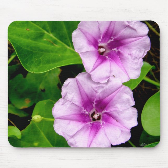 God Glory Flowers Mousepad Musmatta (Framsidan)