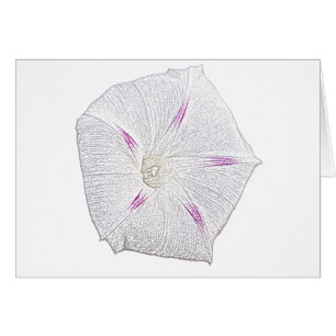 God Glory White Hälsningskort