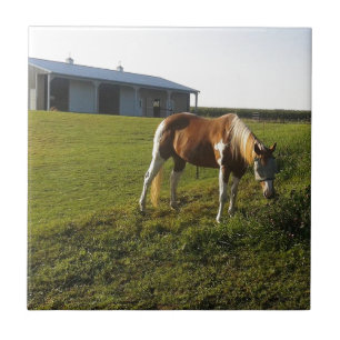 God Graze Kakelplatta