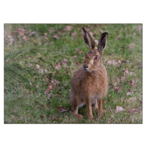 God Hare-dag Skärbräda
