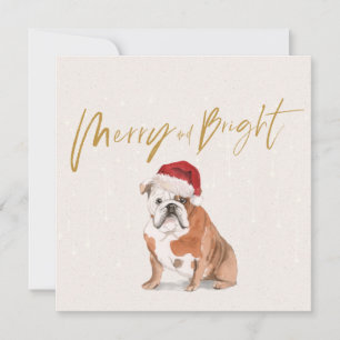 God Helgdag Bull Dog Merry Bright Hälsning