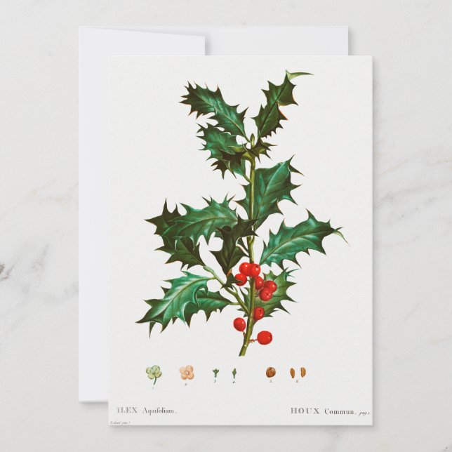 God Holly-jul Inbjudningar (Framsida)