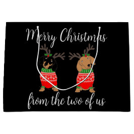 God jul 2 avvisade Dachshunds