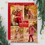 God jul 4 Photo Collage Guld<br><div class="desc">Julhälsningskort med äkta folie har ditt efternamn och hälsning God jul och Gott nytt år i chic med guld-fotnotens röda text med ditt favoritfotokollage på 4 sidor som är inramat i verklig folie på framsidan och ditt första namn på baksidan. Live Design Service kan hjälpa dig med layouten för din...</div>
