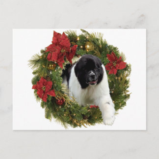 God Jul-andenyf Landseer Helg Vykort