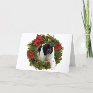 God Jul-andenyf Landseer Helgkort