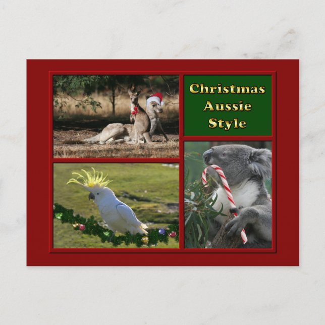 God jul Aussie Animals Helg Vykort (Framsida)