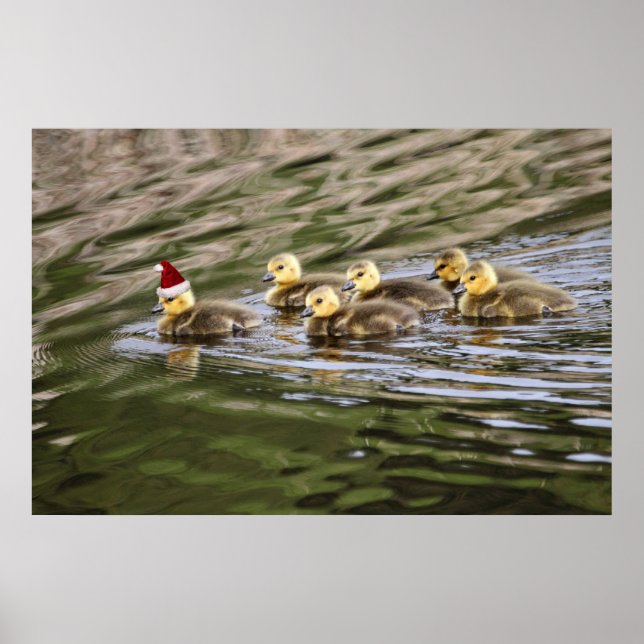 God jul Baby Geese Poster (Framsidan)