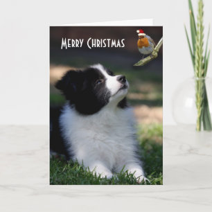 God jul Baby Gräns Collie Helgkort