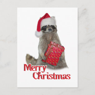 God Jul Bandit Raccoon med nutid Helg Vykort