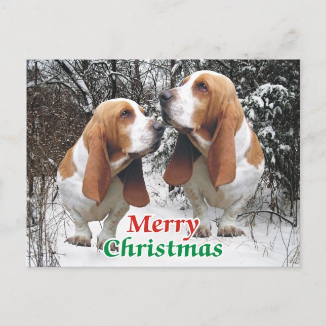 God jul Basset Hounds Helg Vykort (Framsida)