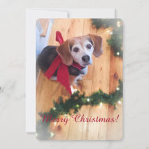 God jul Beagle-platta kort
