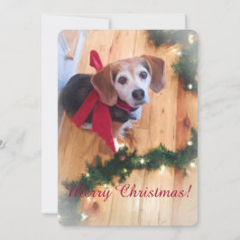 God jul Beagle-platta kort