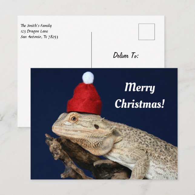 God jul Bearded Dragon i en jultomte Vykort (Fram/baksida)