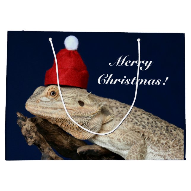 God jul Bearded Dragon Lizard - Santa Hat (Baksidan)