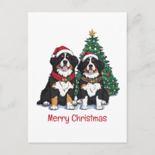 God Jul Berner Sennenhundar Helg Vykort