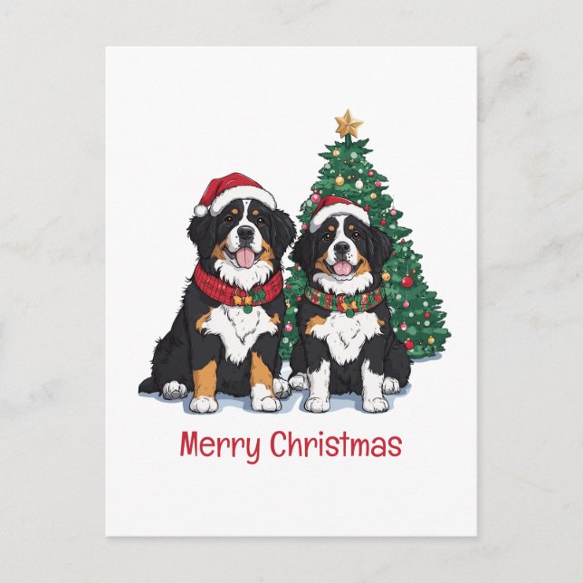 God Jul Berner Sennenhundar Helg Vykort (Framsida)
