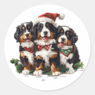 God jul Bernese Mountain Hundar Runt Klistermärke