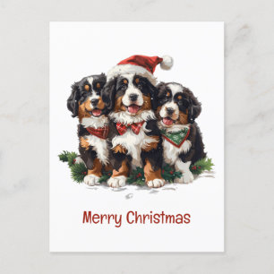 God jul Bernese Mountain Hundar Vykort