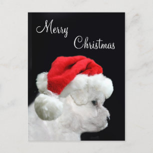 God jul Bichon Frise Helg Vykort