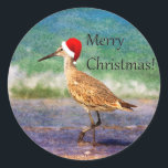 God jul Bird in Santa Hat on Beach Sticker Runt Klistermärke<br><div class="desc">Juldekal med en fågel från vatten som bär en röd julhatt och som går på en tropisk och sandig strand.</div>