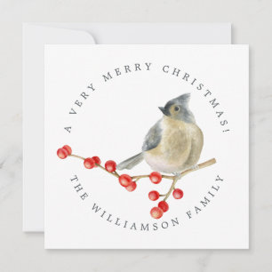 God jul Bird on Berries Sprig Julkort