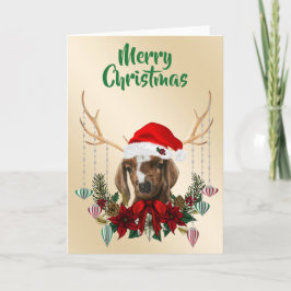 God Jul Boer Goat Kid Kort