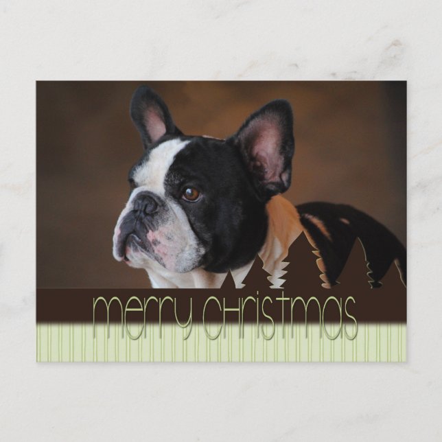 God jul Boston Terrier Hund vykort (Framsida)