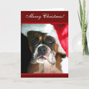 God jul Boxer Hund-hälsningskort Helgkort