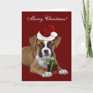 God jul Boxer-Hund-hälsningskort Helgkort