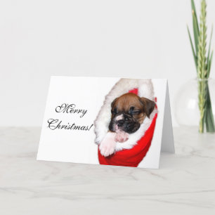 God jul boxervalsningskort helgkort