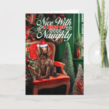 God Jul Boykin Spansk Hund Naughty eller Nice