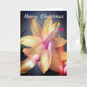 *~* God jul Cactus Flower Anpassa Helgkort
