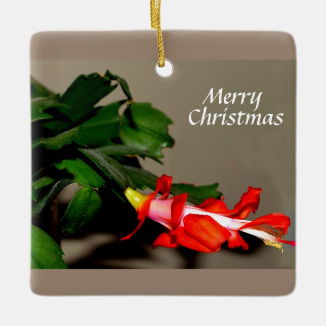God jul Cactus Julgransprydnad Keramik (Framsida)