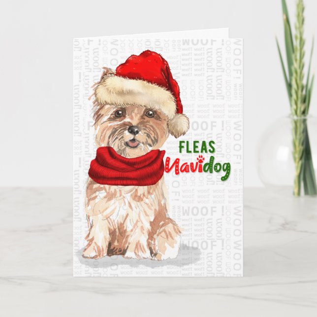 God Jul Cairn Terrier Hund Fleas NaviDOG Helgkort (Framsida)