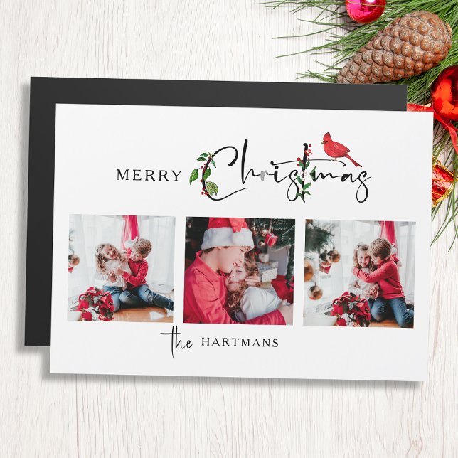 God jul Calligraphy Botanical 3 Photo (Skapare uppladdad)