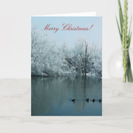 God jul card med snö, damm och ankor helgkort