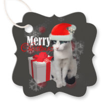 God jul Cat and Pack