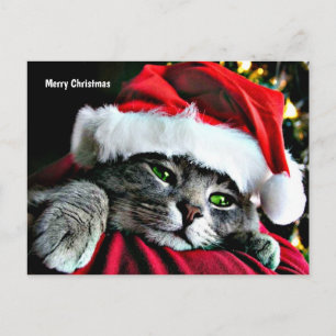 God jul Cat Helg Vykort