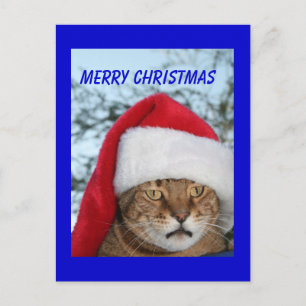 GOD JUL Cat Helg Vykort