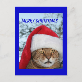GOD JUL Cat Helg Vykort