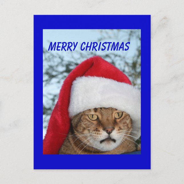 GOD JUL Cat Helg Vykort (Framsida)