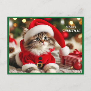 God jul Cat Helg Vykort